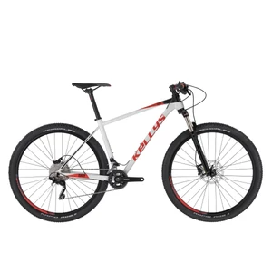 KELLYS Gate 30 White S 29"